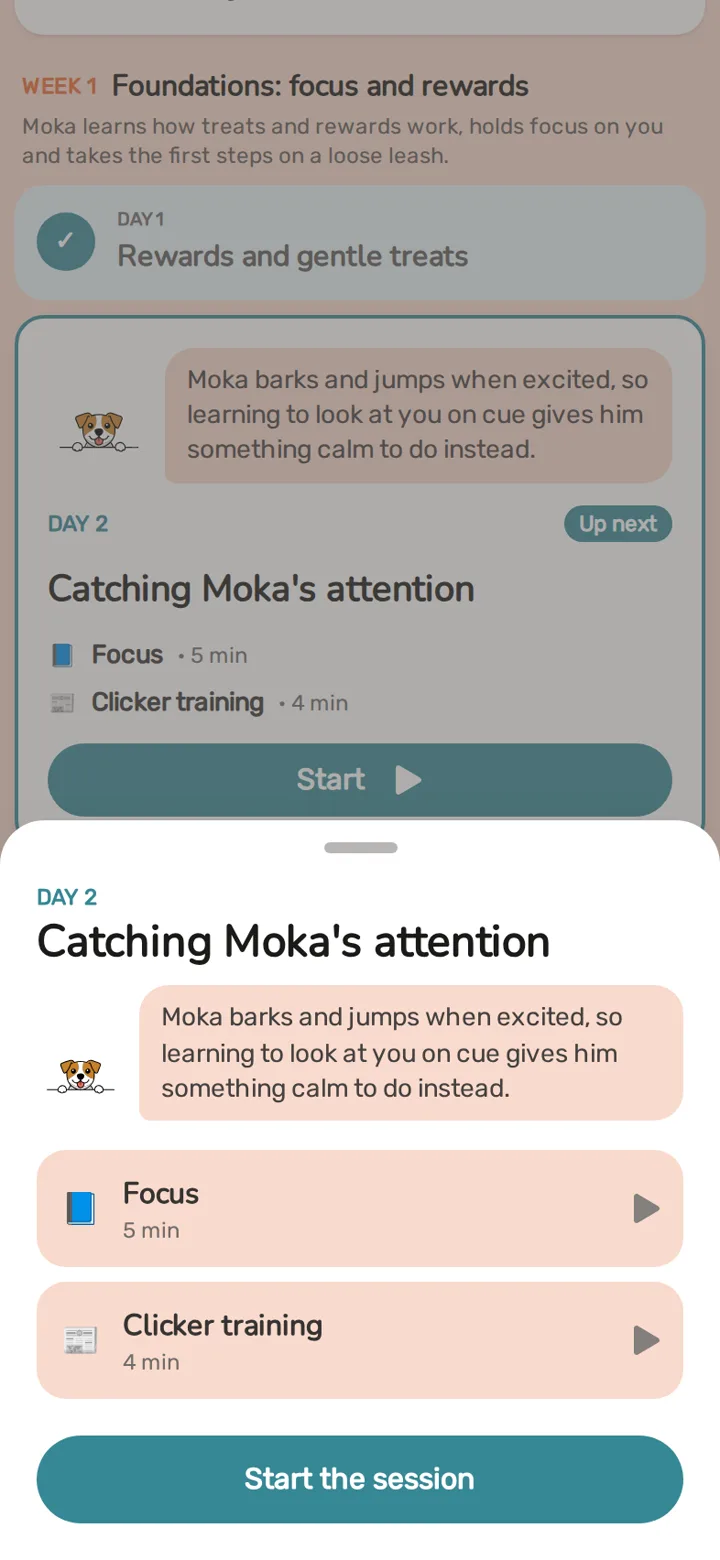 Screenshot of a plan session